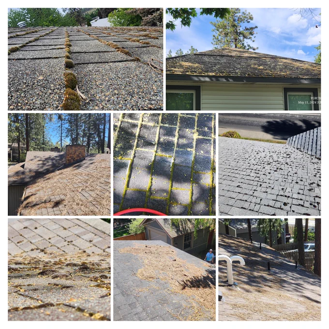 🌟 THE SHINE BEHIND THE PINE: ROOF WASHING & ROOF BLOW-OFFS 🌟

Hello, Spokane! 🥷 The Roof Ninja here with the amazing 👷‍♀️ Kc from Veracity Gutter And Roof Cleaning, LLC / VGRC, LLC! Ready to transform your roofs and homes? 🌲✨

Why Roof Washing & Blow-Offs Matter
Roofs collect debris like pine needles, leaves, and moss, which can cause damage and affect appearance. Regular maintenance enhances your roof’s look and extends its lifespan. #VGRC #SoftWashingVGRC #HappyHome

Our Services
Roof Washing 🧼🚿
Using soft washing, we gently remove dirt, algae, and moss without damaging your roof. Soft washing is safe for all roof types and prevents premature wear. #SoftWashing
Roof Blow-Offs 🍃💨
Keep your roof free of debris like leaves and pine needles. Our monthly subscription ensures your roof stays clean year-round. #VGRCByeByeMoss #CleanRoofs
Gutter Cleaning 🏠🌧️

