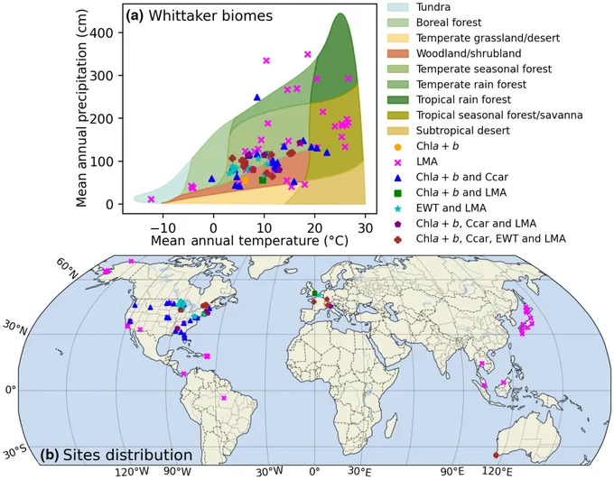 Distribution of leaf samples in climate zones (Whittaker, 1970) and geographic locations. 