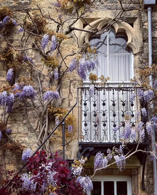 Instagram: @spiralling_oxford