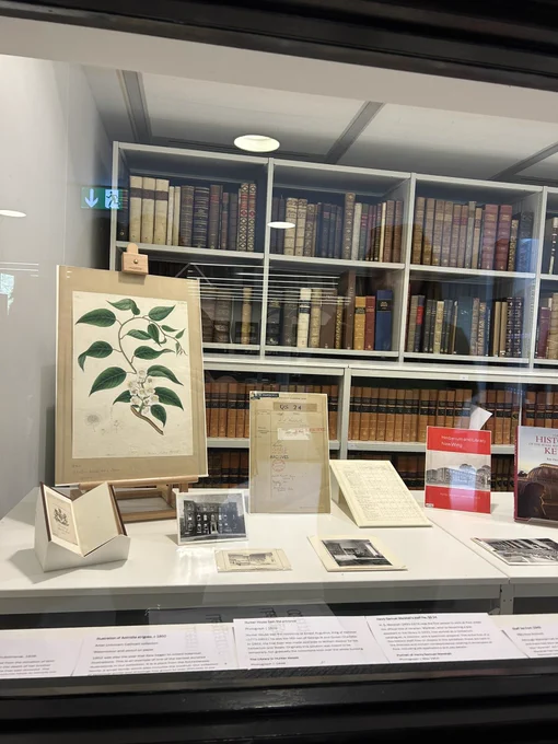 Looking through a window at a small display of books and archival documents. In the background are rows and rows of old looking books.
