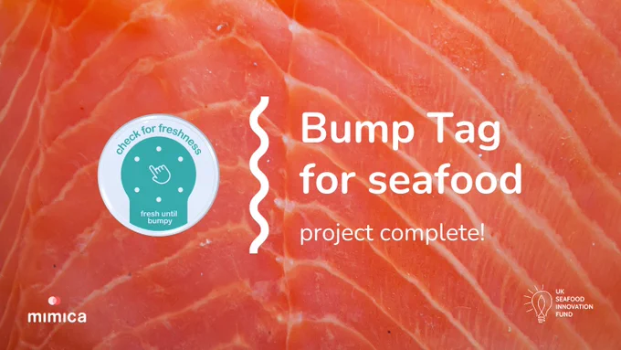 Close-up of a salmon fillet. On top of it a title text on the right hand side reads: Bump Tag for seafood, project complete, and on the left hand side there’s a circular Bump Tag indicator for food freshness. Both are separated by a vertical wiggly line.