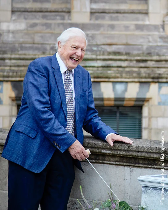 Sir David Attenborough wearing a blue suit, laughing outside of the Natural History Museum building