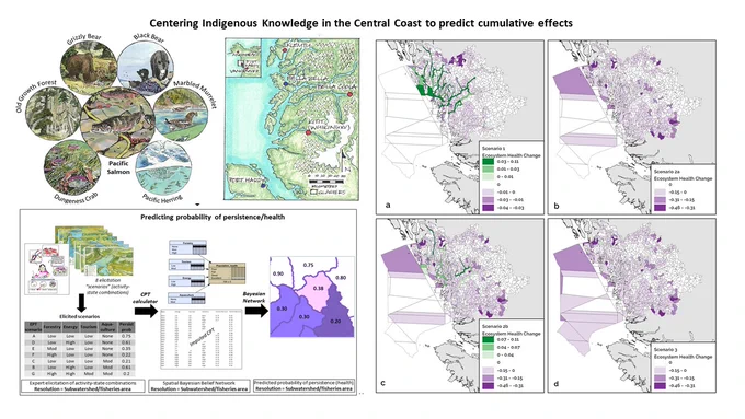 Cumulative effects assessment framework, from predictions made by diverse knowledge holders during inclusive expert elicitation workshops, to developing the final spatial maps of species persistence (three examples shown here, for old-growth forest, crab and salmon), and ecosystem health map (combination of all species persistence maps). Expert knowledge was used to inform the Bayesian network and predictions of current and future ecosystem health, select species or ecosystem components, develop species distribution maps and influence diagrams, identify the location of historical human activities and formulate development scenarios, with expert validation occurring at all mapping stages. https://besjournals.onlinelibrary.wiley.com/doi/10.1111/1365-2664.14659