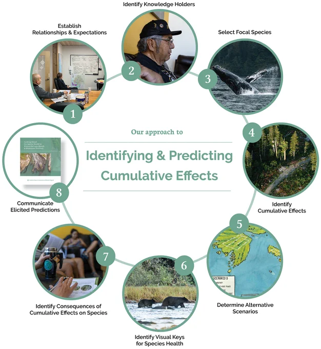 Overview of our approach to designing and implementing a regional and predictive cumulative effects assessment focused on First Nation government priorities, as supported by engaging with expert knowledge holders and spatial modelling. 