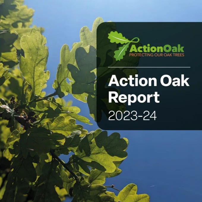 Action Oak Report 2023-24 front cover