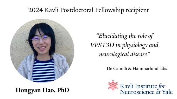 Hongyan Hao, PhD, received the 2024 Kavli Postdoctoral Fellowship. Her proposal is titled "Elucidating the role of VPS13D in physiology and neurological disease"