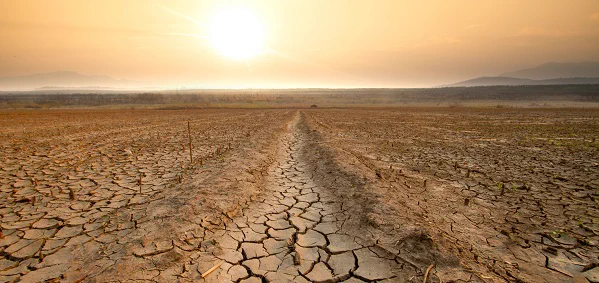 A dry, cracked ground, with a low sun overhead.