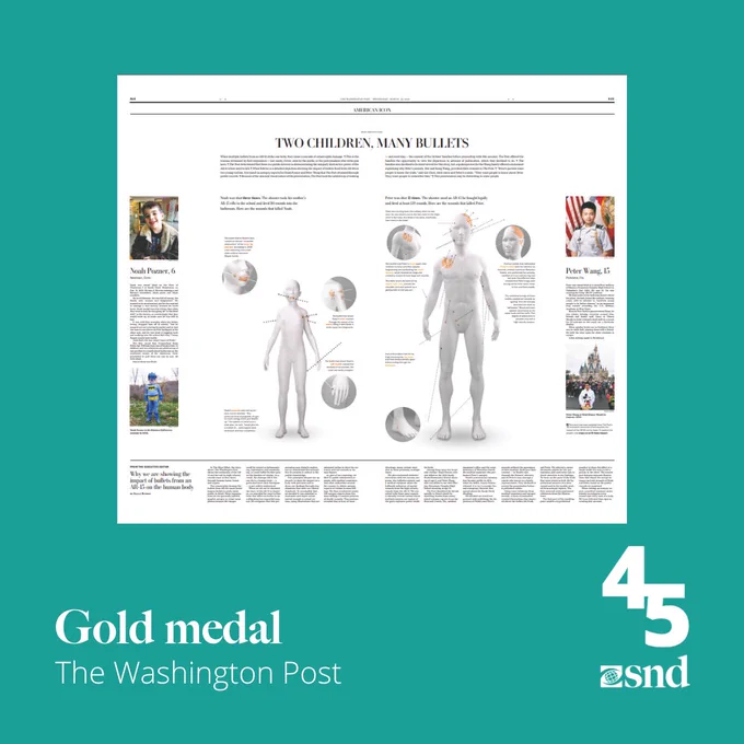 "A detailed medical illustration and accompanying text analyzing the multiple bullet wounds suffered by two children in separate incidents. Each bullet's path and impact is shown on 3D models of the victims, providing a stark visual understanding of the lethal efficiency of such firearms."
