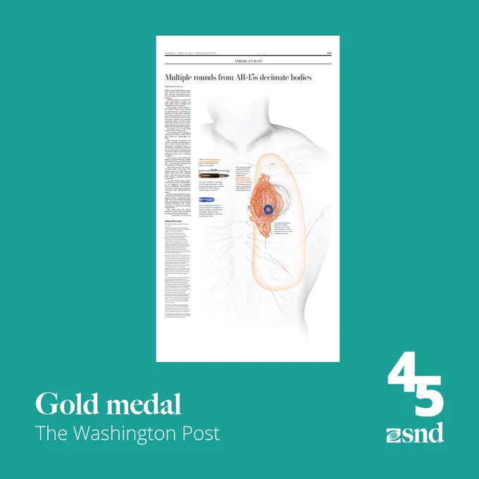 "Educational image depicting the devastating impact of multiple rounds from an AR-15 on the human body, featuring detailed anatomical illustrations that highlight the extensive damage caused to organs and tissues."
