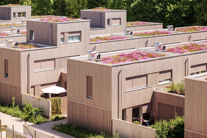 Some green roofs with flowers.