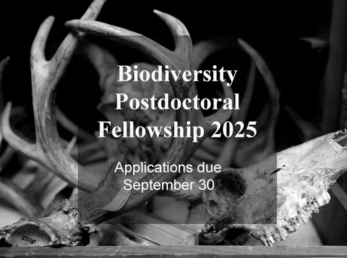 a black and white image of a skull with antlers, with text over that reads "Biodiversity Postdoctoral Fellowship 2025, Applications due September 30"