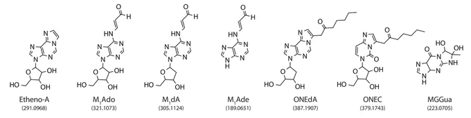 Structures of identified carbonyl adducts with names and predicted exact mass.