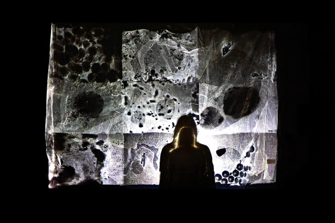 Image credit: JD Whitman, 2023
https://science-art-society.ec.europa.eu/naturarchy-exhibition