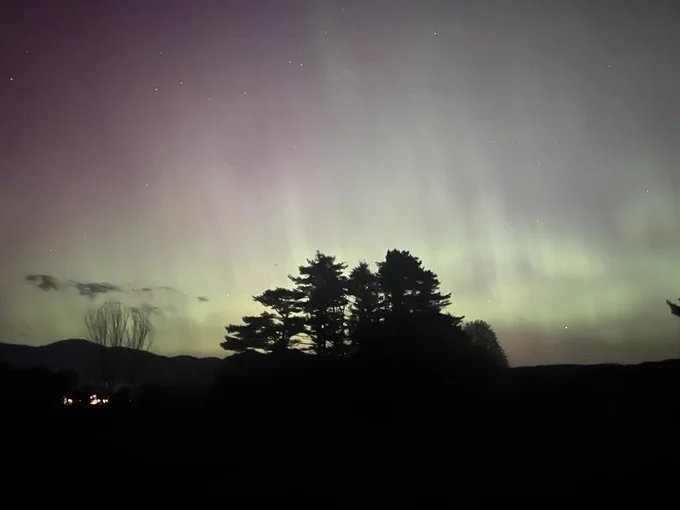 Northern lights with green in the sky over trees