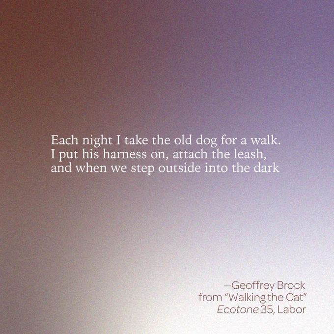 “Each night I take the old dog for a walk. 
I put his harness on, attach the leash,  
and when we step outside into the dark” 
--Geoffrey Brock 
From “Walking the Cat” 
Ecotone 35, Labor 