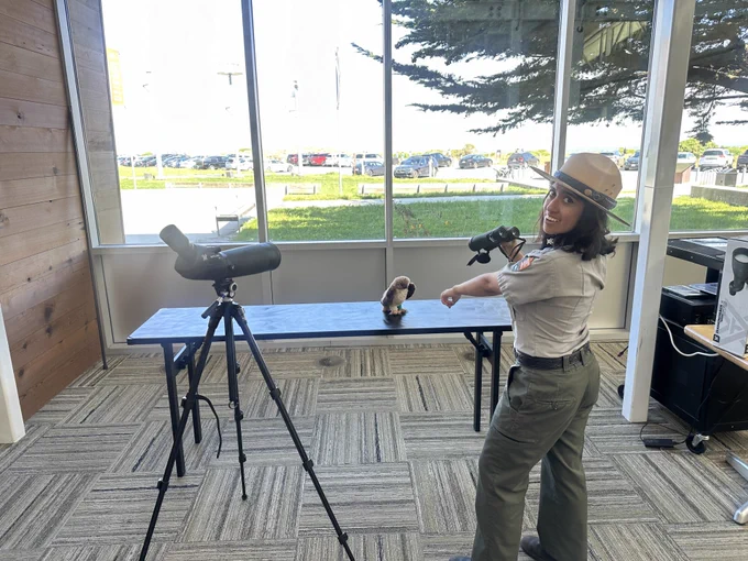 Image: Erick Cortes ( Park Ranger using a binocular to spot a Red Tail Plush)