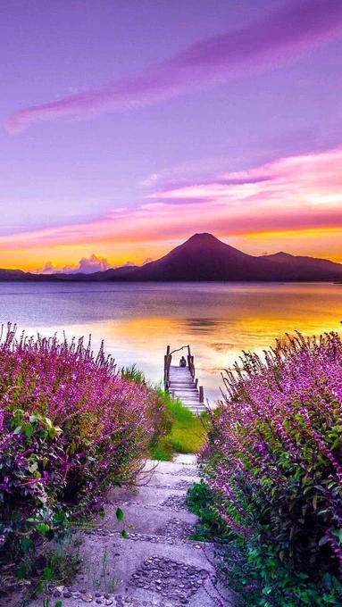 Purple Sky