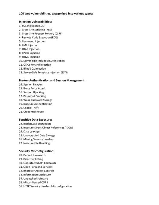 100 web vulnerabilities 