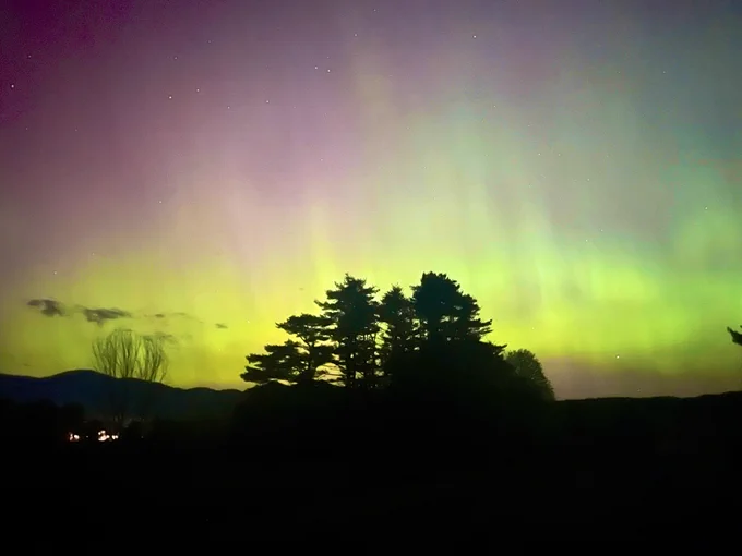 Northern lights, pink and green in the sky with trees in background.