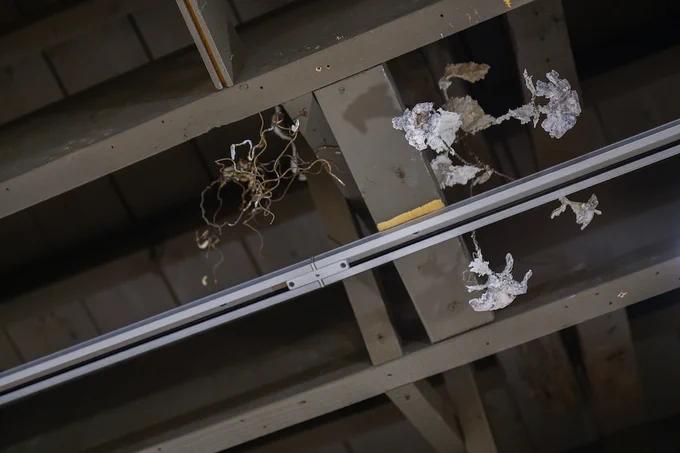 A photograph of plaster and clay floral and plant sculptures in the ceiling joists. 
