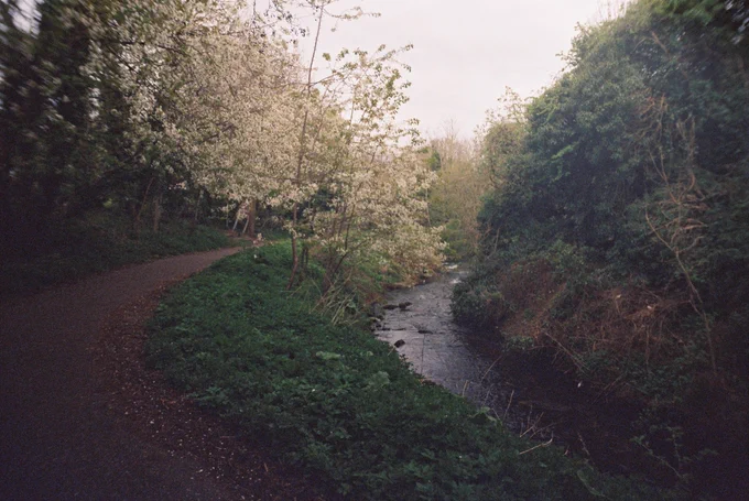 Colour photograph of the Brunstane Burn, its path, and trees in blossom