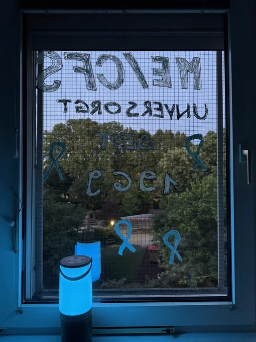 Aussicht aus Fenster, beschriftet mit:
“ME/CFS
unversorgt seit 1969”
Auf dem Fensterbrett davor steht eine blau leuchtende Laterne.