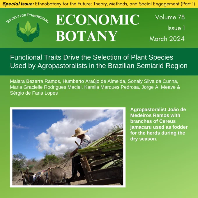 This image has a header that has the SEB logo, “Economic Botany” and “Volume 78, Issue 1, March 2024”. The article title on this page reads, “Functional Traits Drive the Selection of Plant Species Used by Agropastoralists in the Brazilian Semiarid Region.” The authors for this article are, "Maiara Bezerra Ramos, Humberto Araújo de Almeida, Sonaly Silva da Cunha, Maria Gracielle Rodrigues Maciel, Kamila Marques Pedrosa, Jorge A. Meave & Sérgio de Faria Lopes .” The photo on the page has this description, "Agropastoralist João de Medeiros Ramos with branches of Cereus jamacaru used as fodder for the herds during the dry season.”