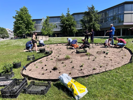 Etwa 10 Personen pflanzen Stauden in ein herzförmiges Beet vor der SUB Göttingen.