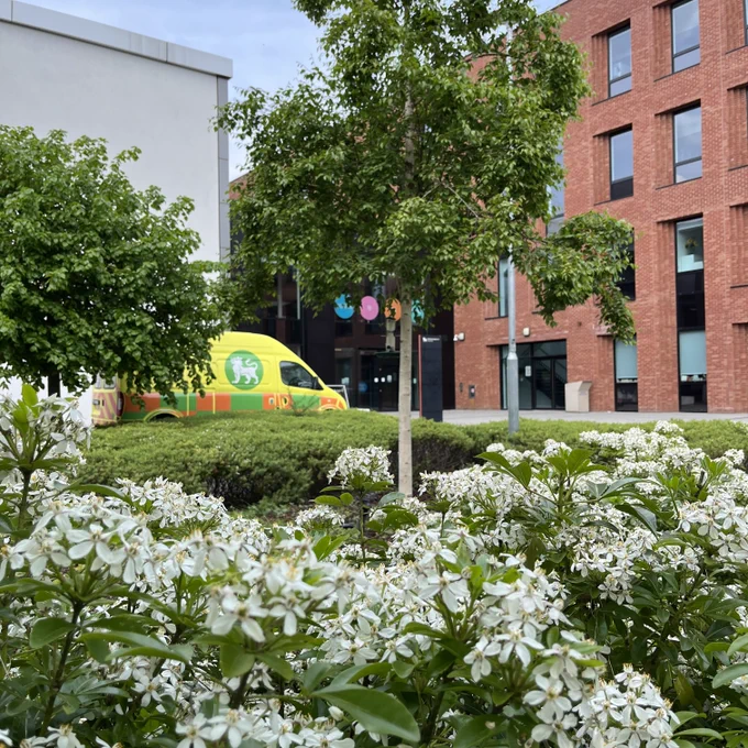 A view of City South campus from one of the garden areas