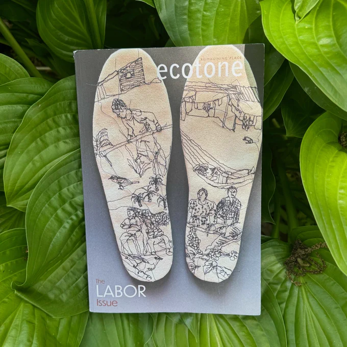 Issue 35, the Labor Issue against a background of hosta leaves 