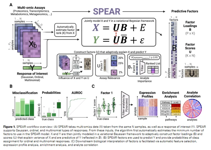 A complex workflow for a bioinformatics paper about identifying #immune #signatures. https://pubmed.ncbi.nlm.nih.gov/38603606/