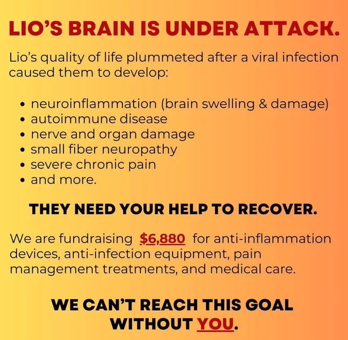 in summary: lio’s quality of life has plummeted since getting covid in 2020. they are dealing with an onslaught of neurological issues now, and the money raised will be for anti-inflammation devices, anti-infection equipment, and beyond