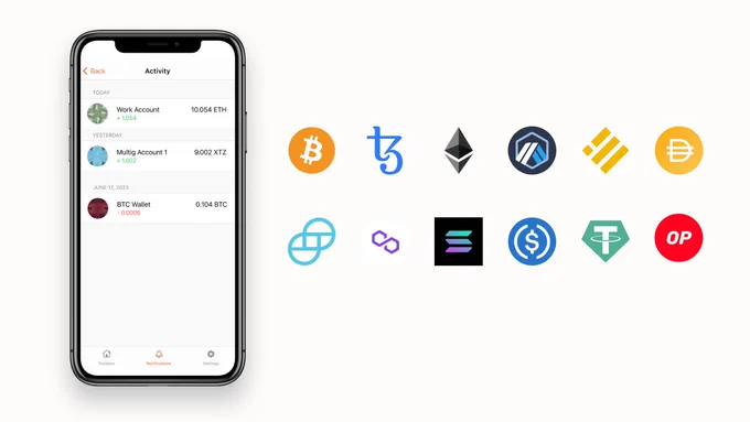 Screenshot showing the Persimmon app along with the logos of supported assets. 