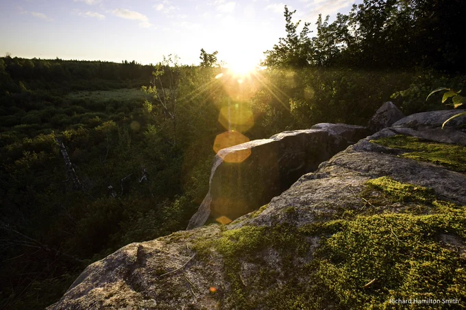 Photo of the sun setting behind trees from the vantage point of a rocky overlook.