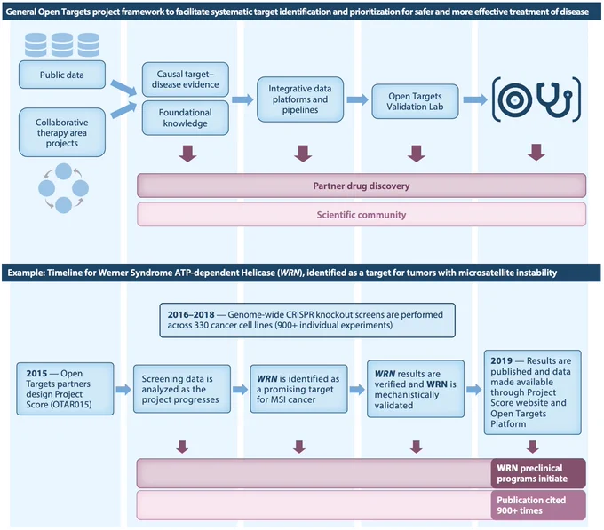 An illustration of the Open Targets project framework, and an example of an Open Targets research project showing the emergence and journey of a potential target lead through the workflow. We bring together publicly available data with data generated through the collaborative research program’s projects to provide causal evidence for target-disease associations as well as foundational knowledge related to genes and diseases. This knowledge is integrated into our open-source informatics platforms. Potential targets are fed into our validation lab for further mechanistic insights. The workflow at each step feeds into our industry partners’ drug discovery pipelines, and, once publicly available, into the wider scientific and drug discovery community, with the ultimate aim of helping to develop safer and more effective medicines
