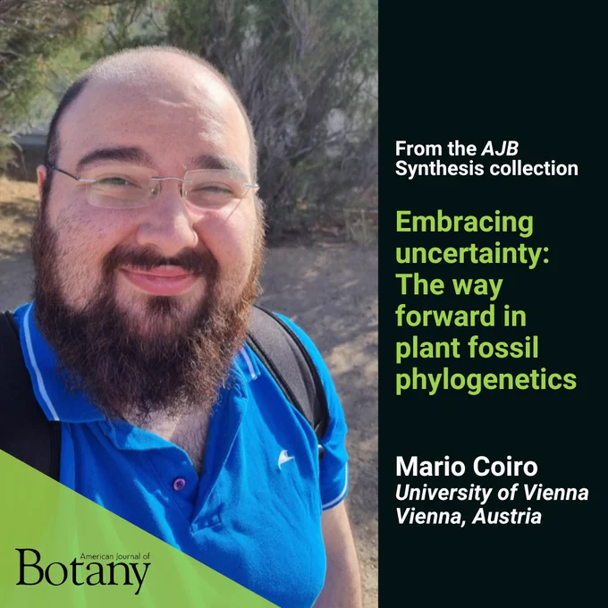 Photo of Mario Coiro, announcing the publication of AJB Synthesis paper "Embracing uncertainty: The way forward in plant fossil phylogenetics".