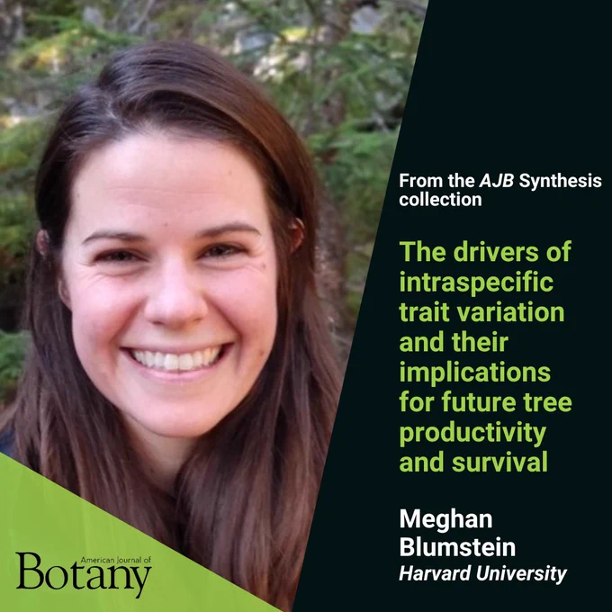 Photo of Meghan Blumstein, announcing the publication of AJB Synthesis paper "The drivers of intraspecific trait variation and their implications for future tree productivity and survival".
