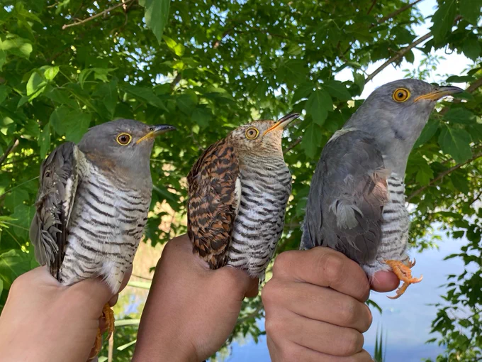 Two females on the left and a male on the right