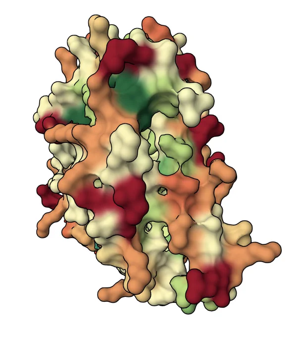 PDB ID 1mbo hydrophobicity (trichromacy)