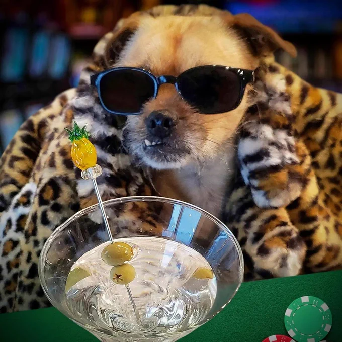 Vegas anyone?