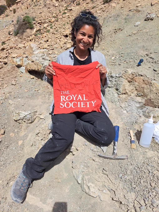 I modified my tote bag to start celebrating a little early in the field in Morocco last week!