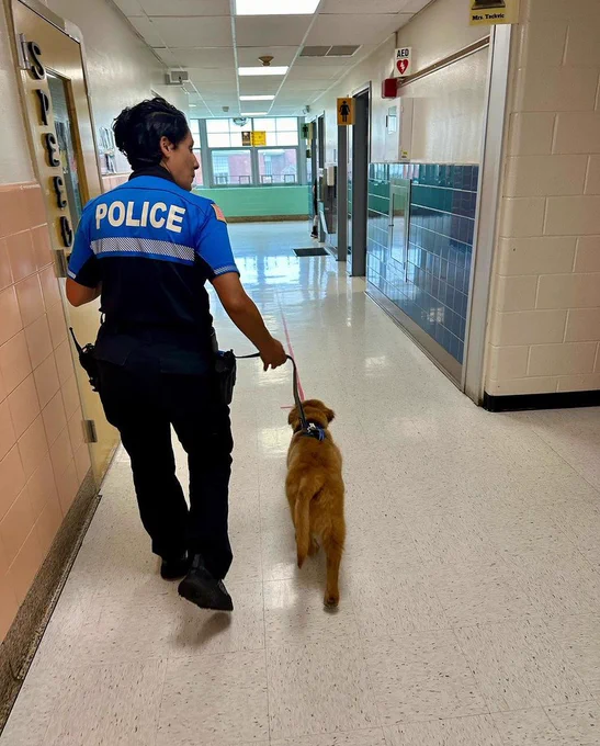 marco and officer nikki!