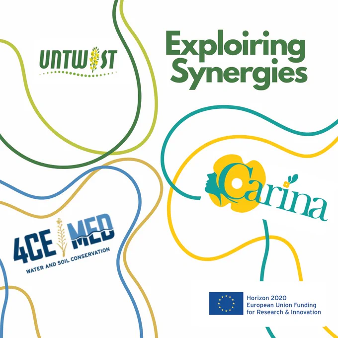 https://www.untwist.eu/exploring-synergies/
