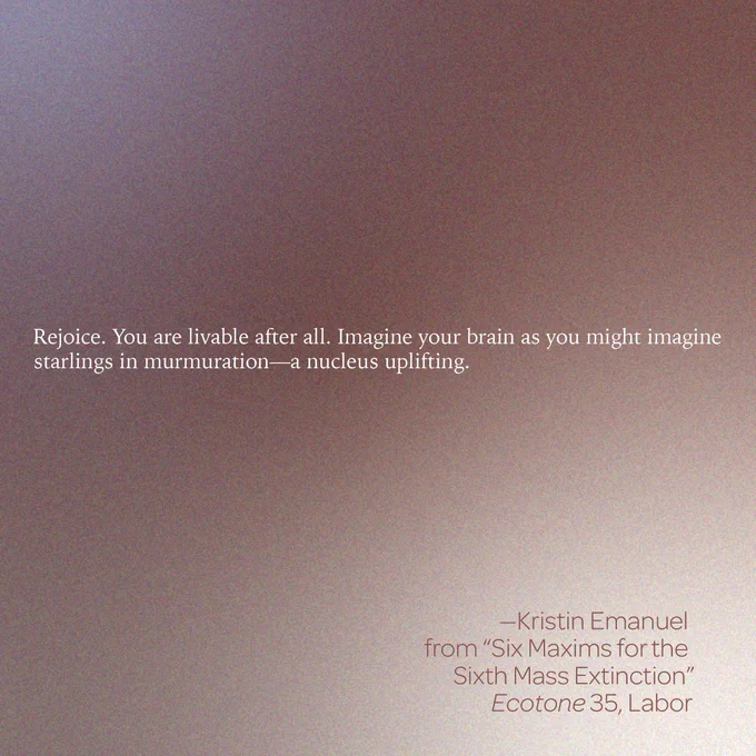 “Rejoice. You are livable after all. Imagine your brain as you might imagine starlings in / murmuration—a nucleus uplifting.” 
--Kristin Emanuel 
From “Six Maxims for the Sixth Mass Extinction” 
Ecotone 35, Labor 