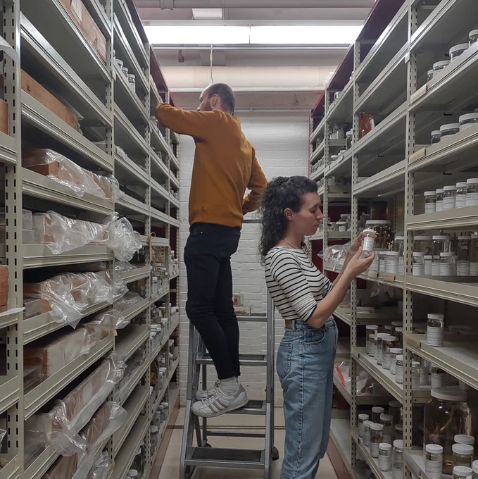 two people standing in a narrow space between shelves of coral specimens 