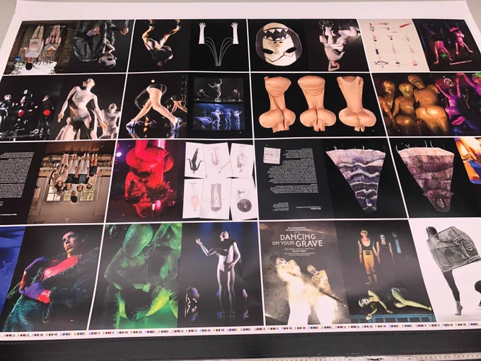 Book pages on a printing press, showing images of lea's work