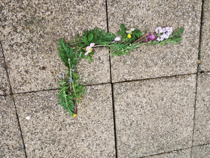 Early literacy - making letters out of natural materials.  