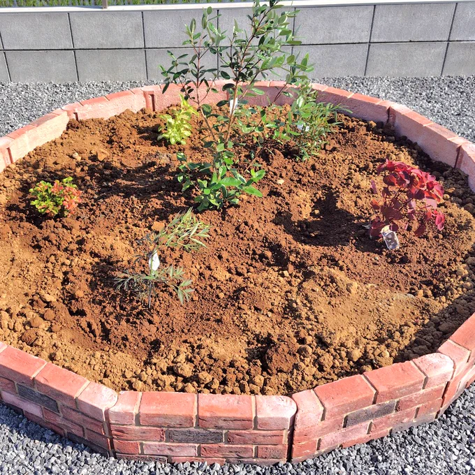 木の花壇は真中に常緑と周りに自分好みの色感じられるの植えた。