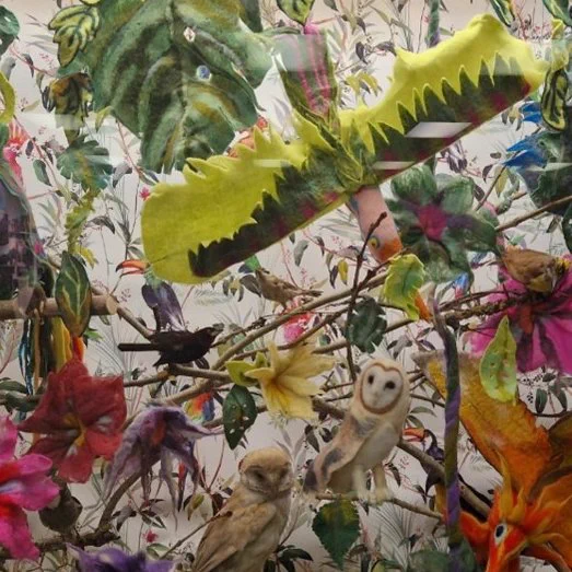 A colourful display case showing taxidermy and felt birds