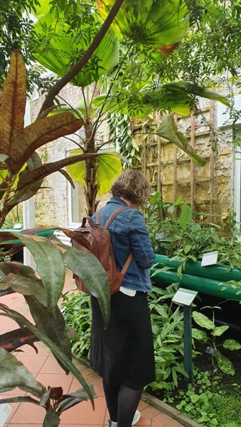 A person looking at plant labels in a glasshouse